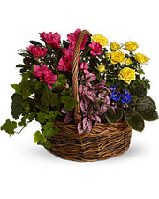 Spring Basket Blooms