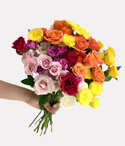 Rainbow Garden Roses