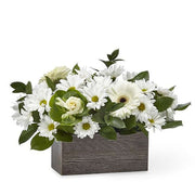 Comfort and Love Basket