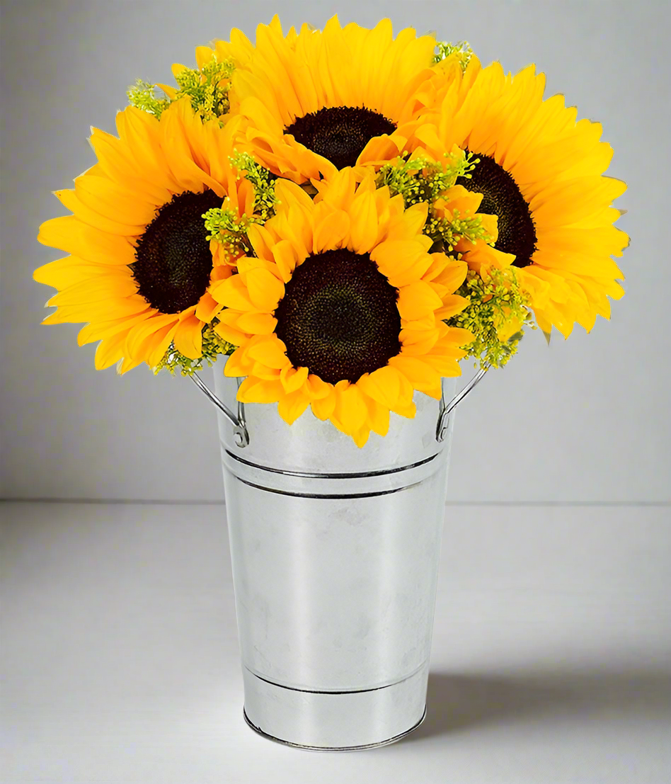  Sunflower  in a vase