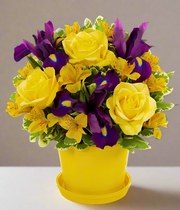 Yellow rosee in a yellow vase