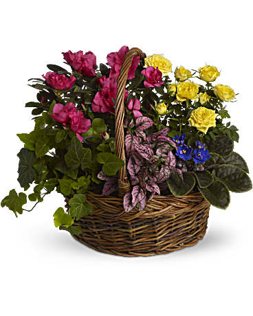 Spring Basket Blooms