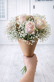 Bouquet of pink roses and baby's breath held in a paper cone against a white background