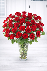 Bouquet of red roses in a clear vase on a white wooden floor.
