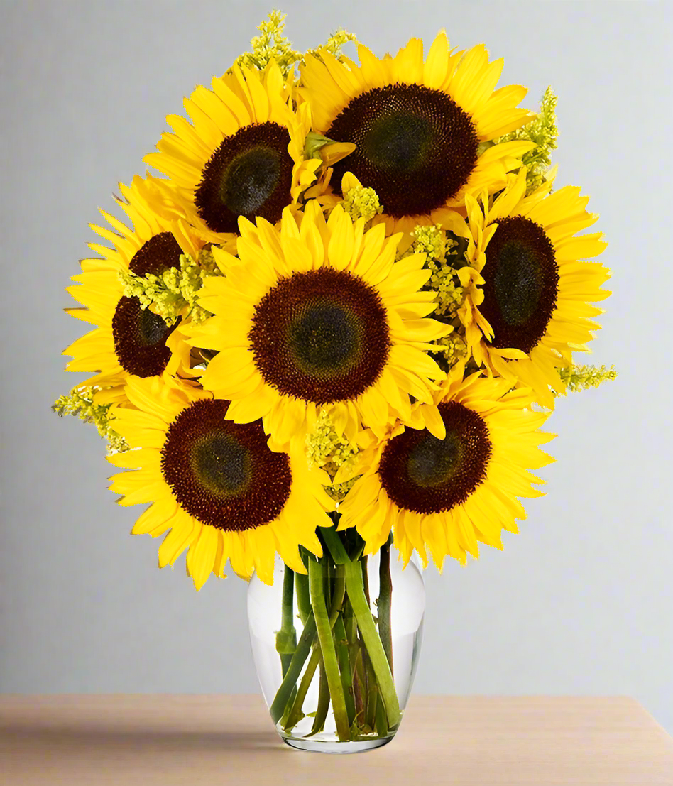 Sunflower in a vase