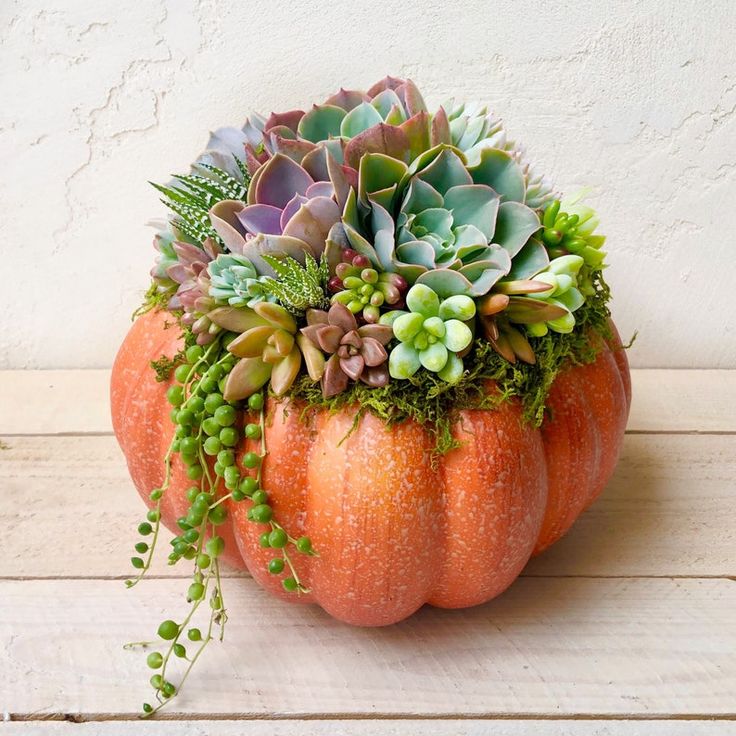 Pumpkin Succulent arrangement 