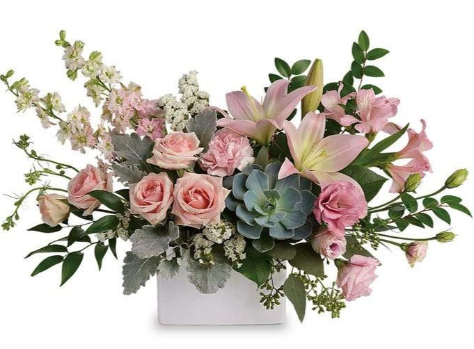 Modern Romance Succulent Arrangement