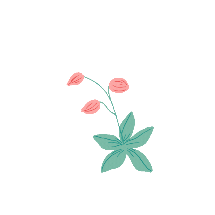 A gif of a growing flower