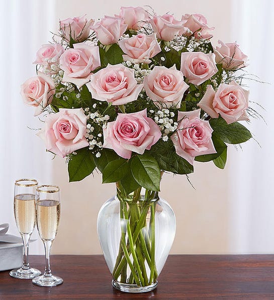 Light Pink Dozen Roses