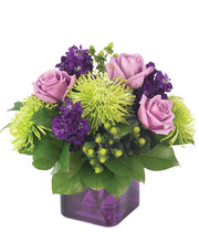 Purple Present, Flowers