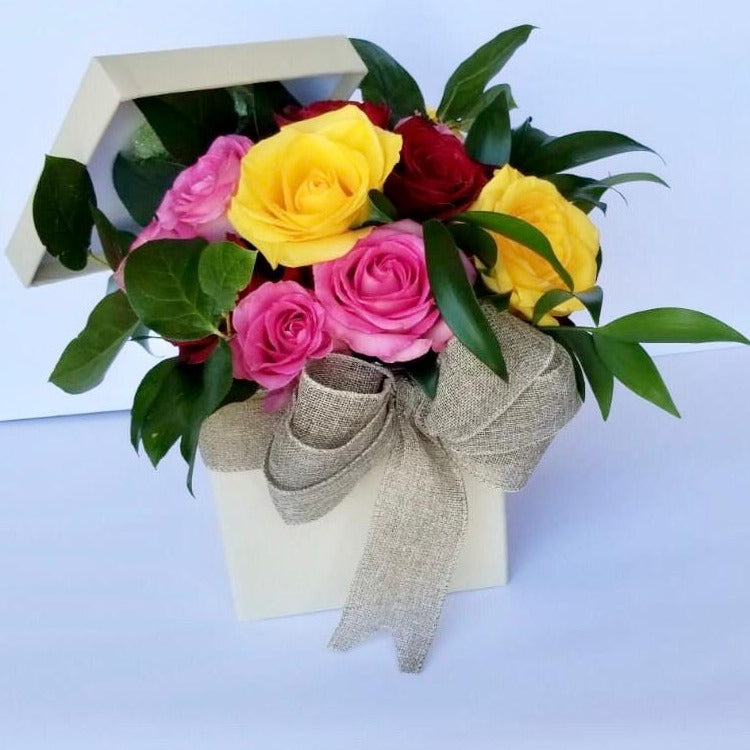 Velvet Box color roses 