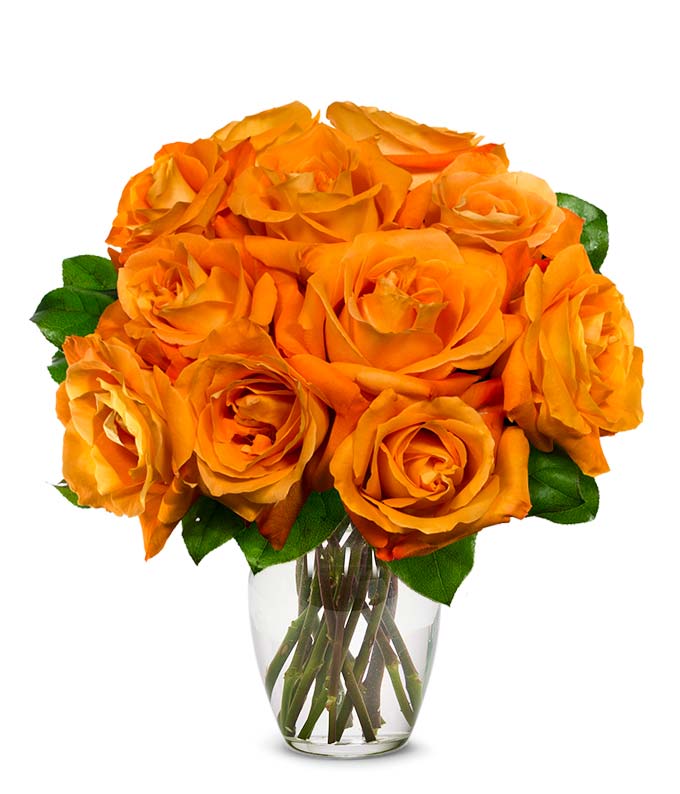 One Dozen Orange Roses