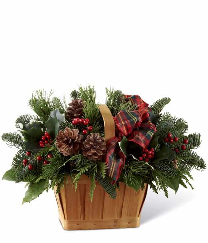 Christmas pines Basket of Joy