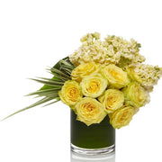 The Tropic Breeze yellow roses 