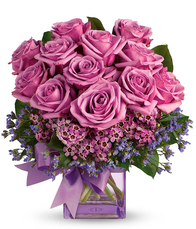 Purple Morning Melody