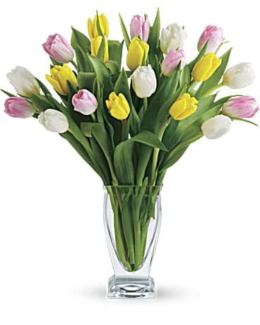 I Love Tulips (Pre-sale)
