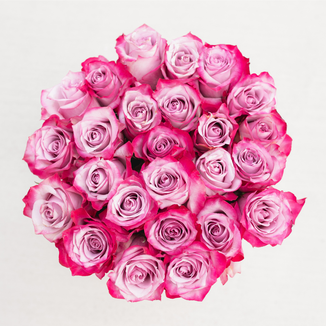 Round Shaped Roses Round Box Roses - Send a Gift of Roses