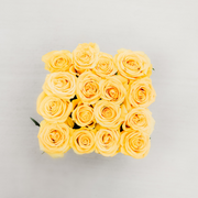 Squared Boxes yellow roses 